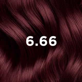 COLORAÇÃO PHYTO 6.66 Castanho Claro Cereja Intenso