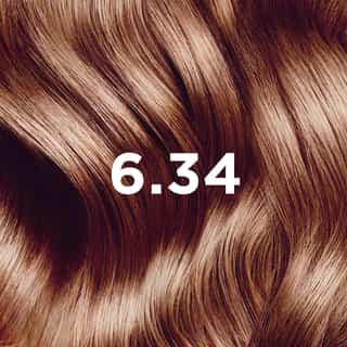 COLORAÇÃO PHYTO 6.34 Louro Escuro Dourado Acobreado