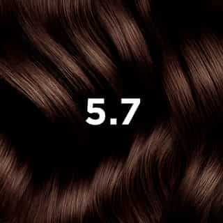 COLORAÇÃO PHYTO 5.7 Castanho Claro Marron