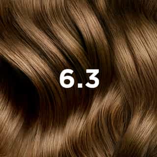 COLORAÇÃO PHYTO 6.3 Louro Escuro Dourado