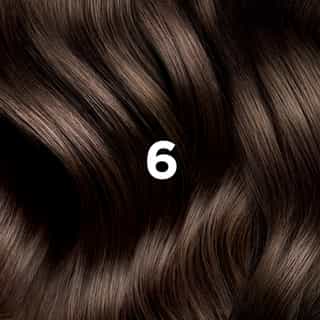 COLORAÇÃO PHYTO 6 Louro Escuro