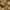 COLORAÇÃO PHYTO 9.3 Louro Muito Claro Dourado
