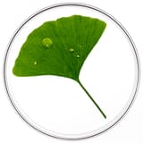 Phytocyane CUIDADO ANTIQUEDA MULHER
