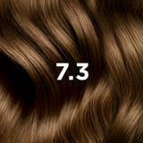 COLORAÇÃO PHYTO 7.3 Louro Dourado