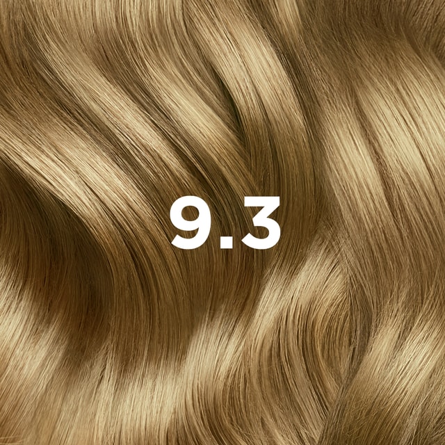 9.3 Louro Muito Claro Dourado