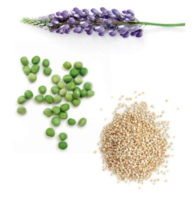 A Queratina Vegetal