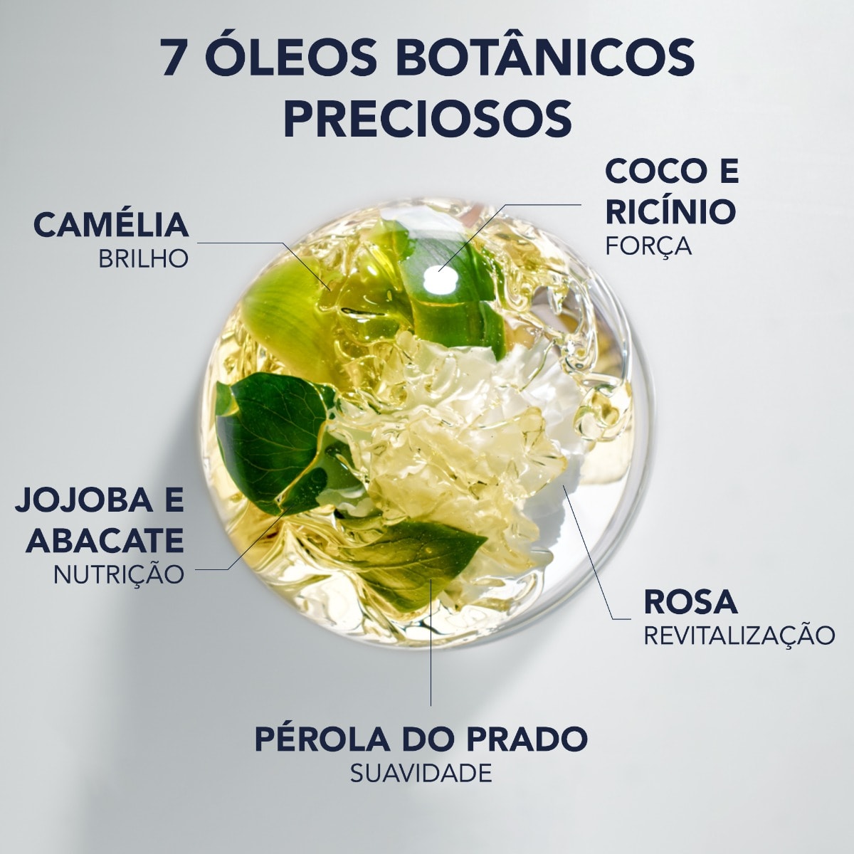 Phyto 7 Elixir Óleo Sublimador Intenso