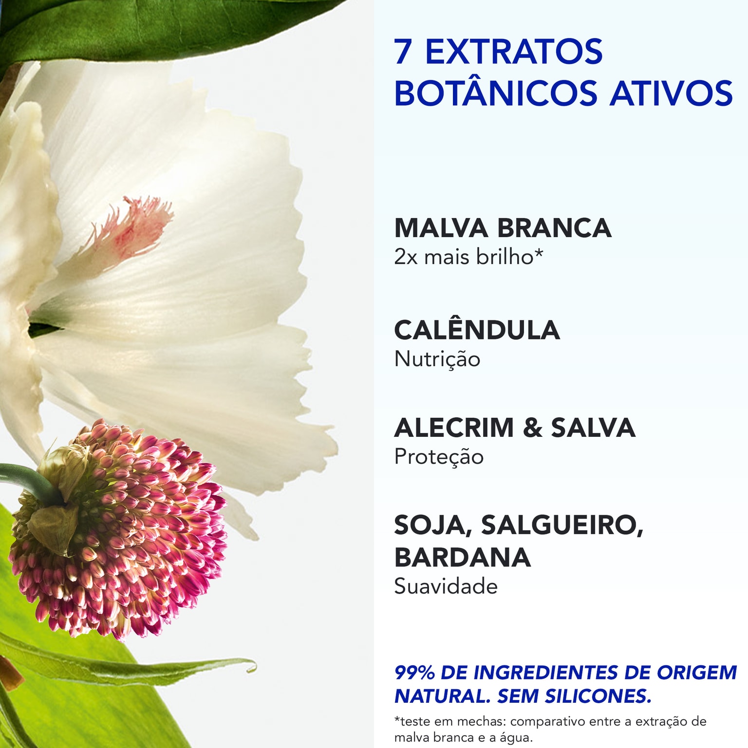 Phyto 7 Elixir Creme de Dia Universal 50 ml