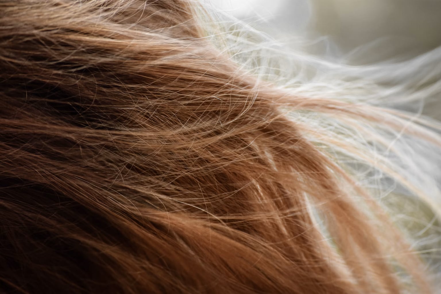 Cabelo danificado no verão: a rotina de reparação para reconstruir a fibra antes do outono