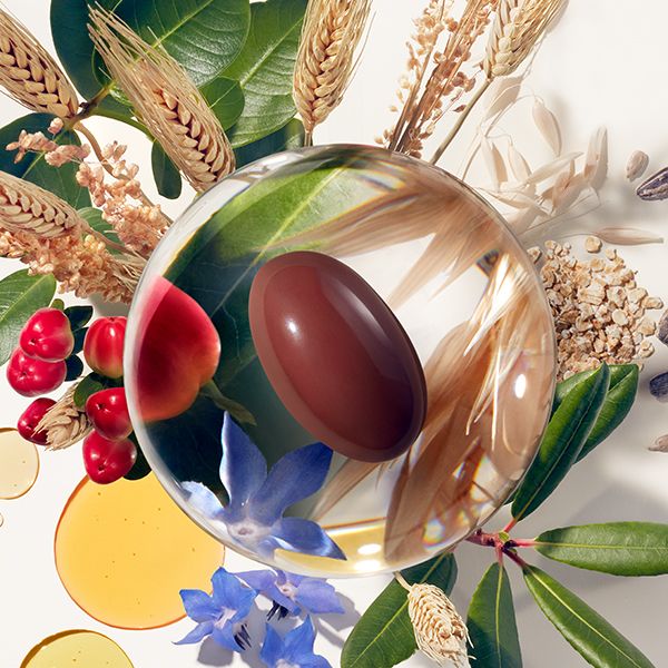 15 INGREDIENTES PODEROSOS E CONCENTRADOS